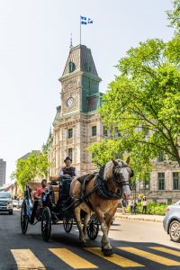 english to french canadian translation tripletrad canada